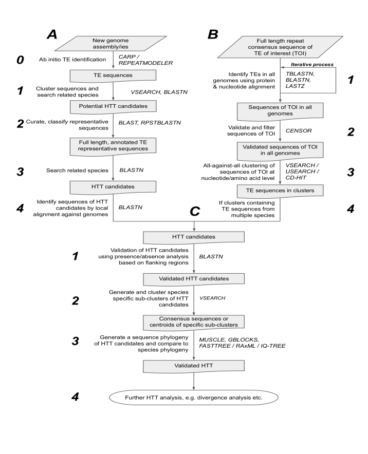 Figure 1, The HTT detection flowchart